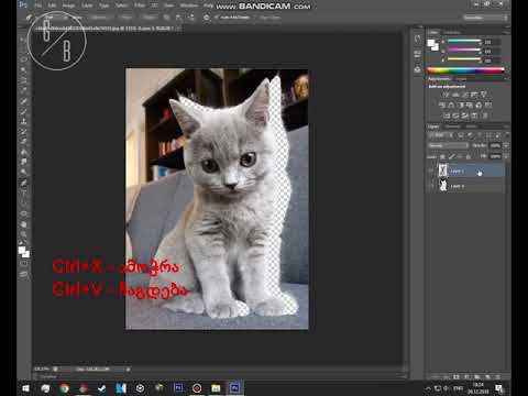 Photoshop (PNG) გამჭირვალე ფოტოს შექმნა